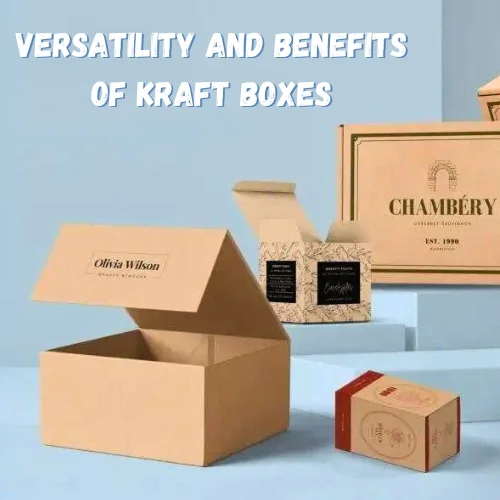 The Versatility and Benefits of Kraft Boxes: A Comprehensive Guide