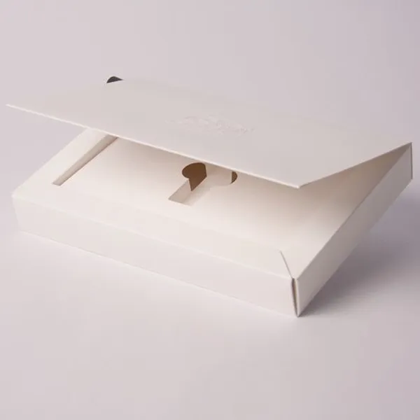 plastic storage boxes with hinged lids